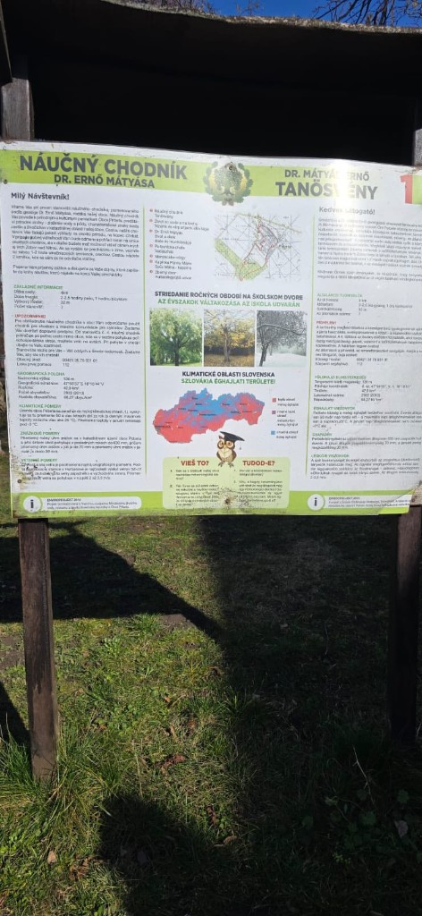 Cerimonia di consegna degli attestati di partecipazione durante il Day 5